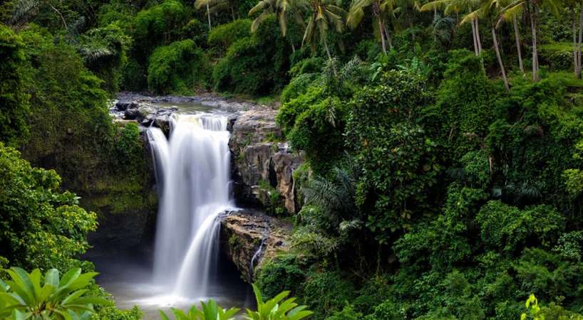 1660792691-18-08-2022-CWL8Aaptz4b2SmeHus70MBGgKi3J9hZO